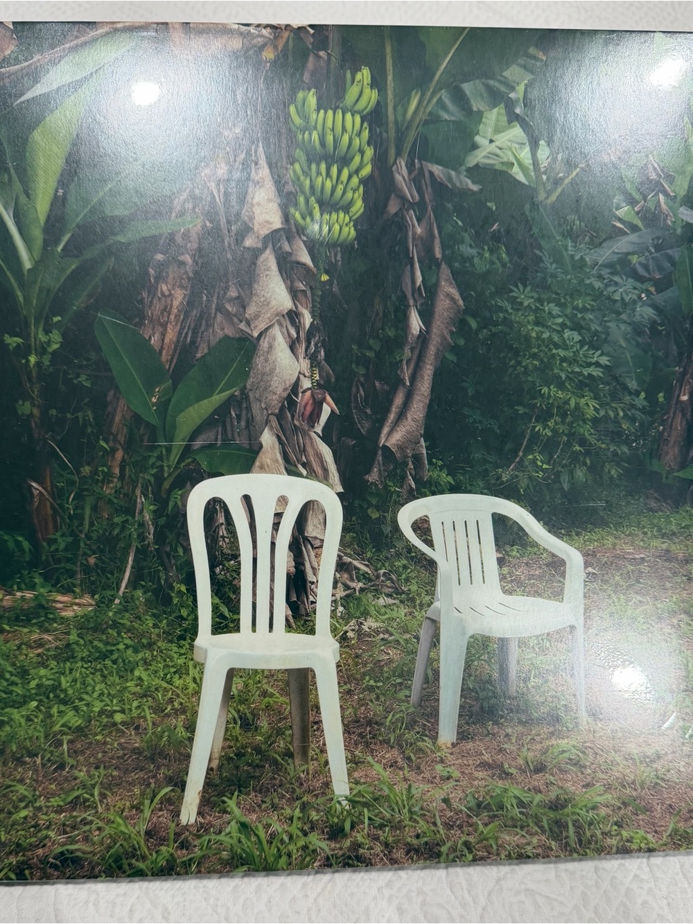 White Plastic Patio Chairs Wall Art Print - Home Art